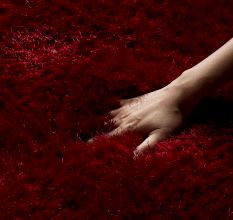 Artisan Red Shaggy Bedroom Carpet